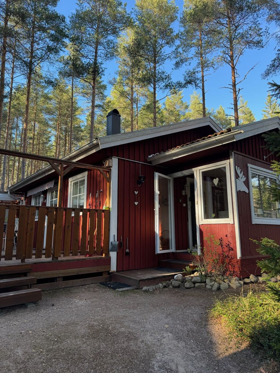 Blåbärhus – Eingang und Veranda