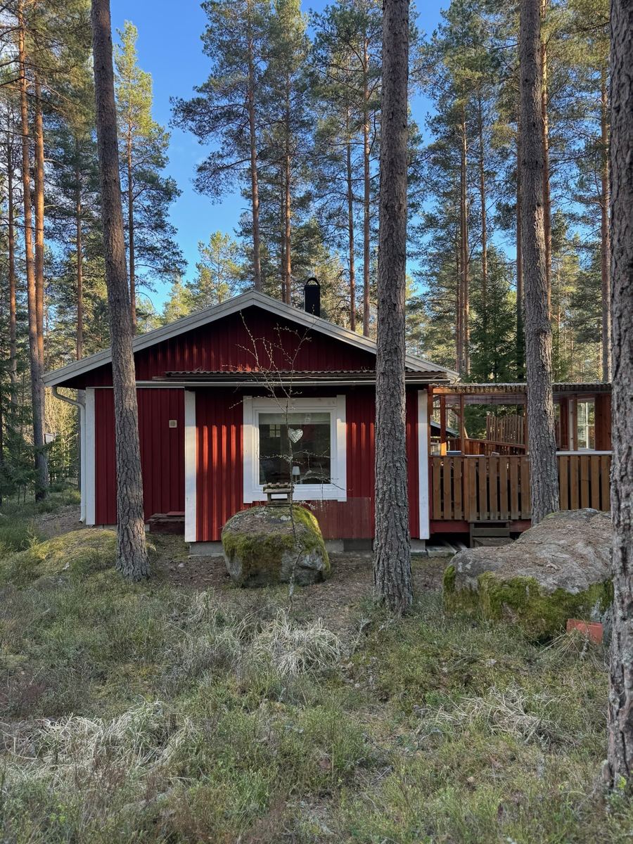 Blåbärhus – Rückansicht im Kiefernwald